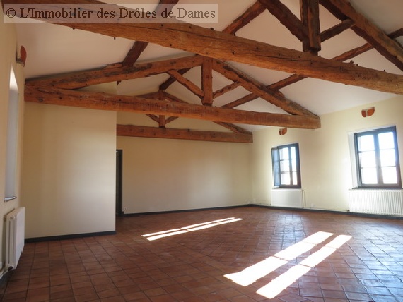 location appartement CARCASSONNE 5 pieces, 167m